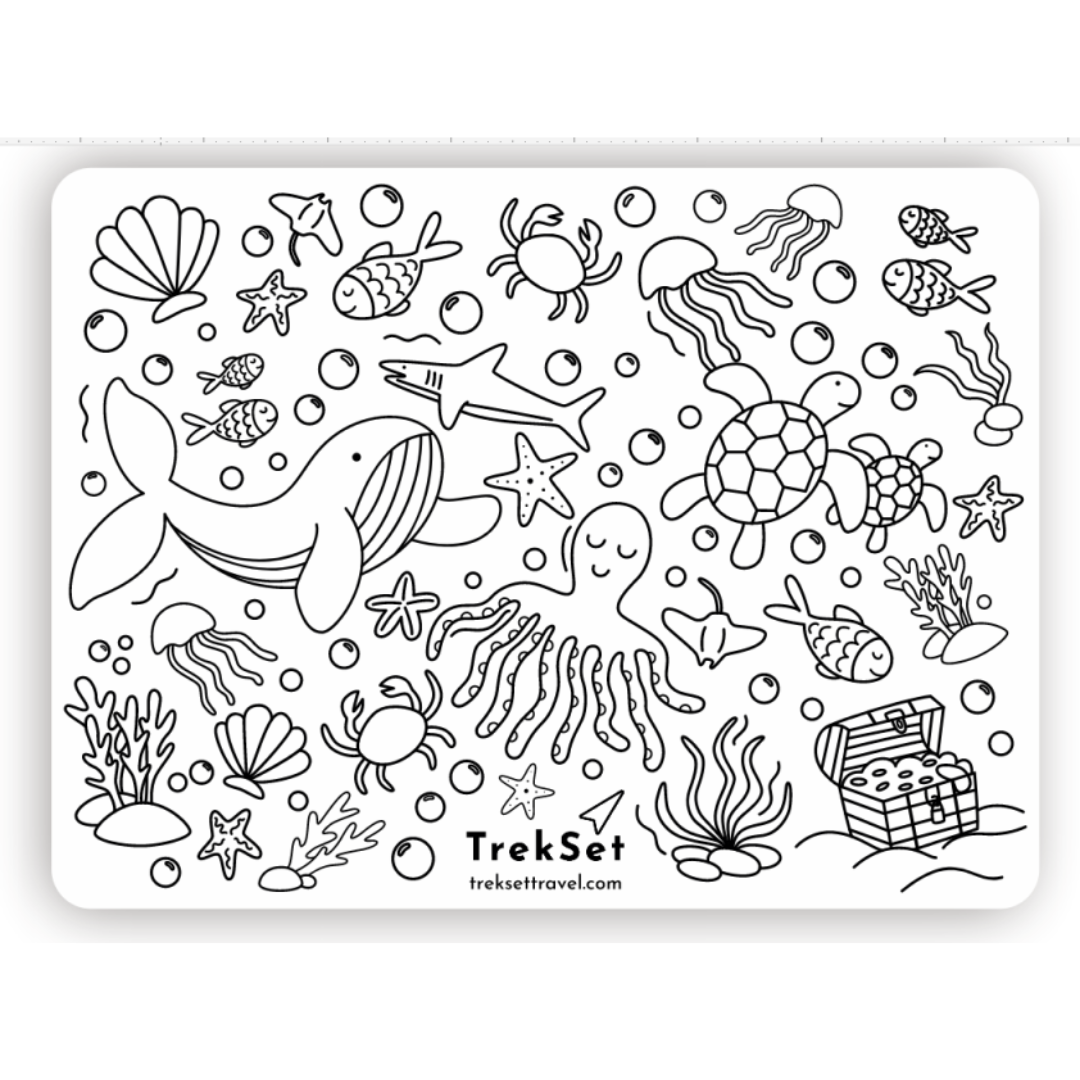 Reusable Silicone Coloring Mat | Mess-Free Fun for Kids | Travel ...